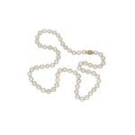 Strand of cultured pearls on an 18ct gold ball clasp