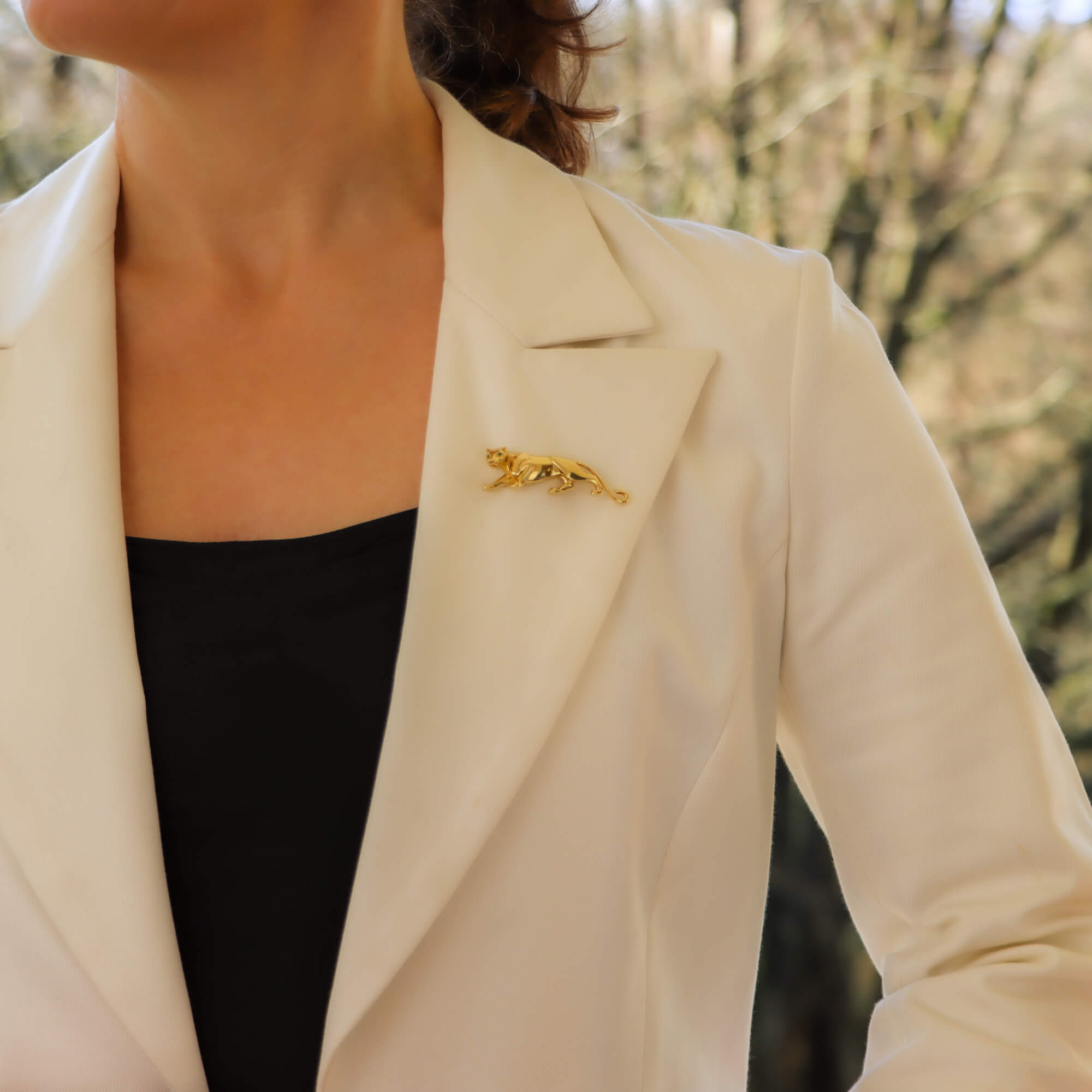 Panthere de cartier brooch deals