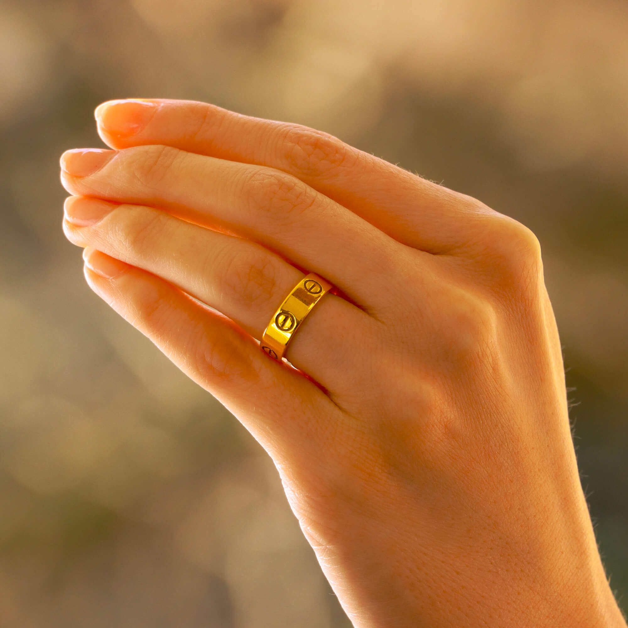 Cartier 49 ring size clearance