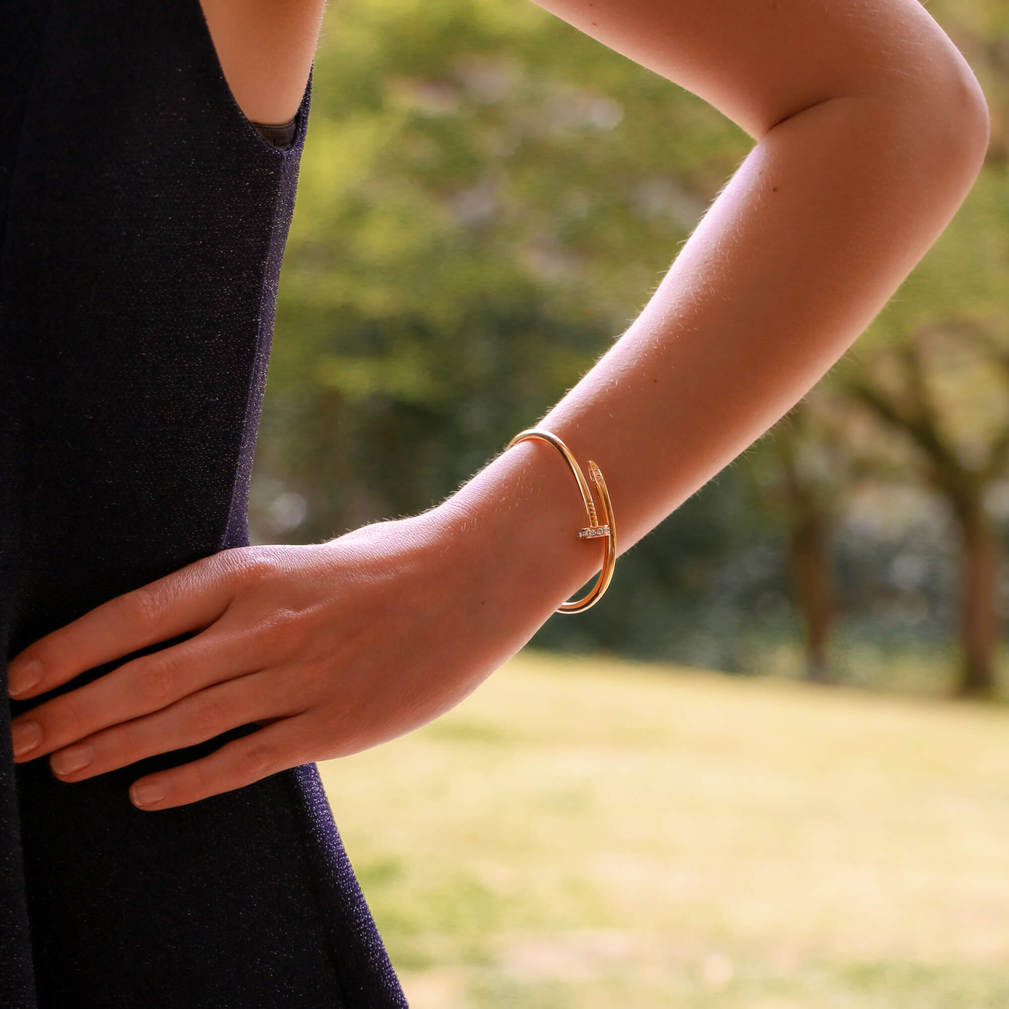 Vintage Cartier Diamond Juste Un Clou Bangle Size 17 at Susannah Lovis Jewellers