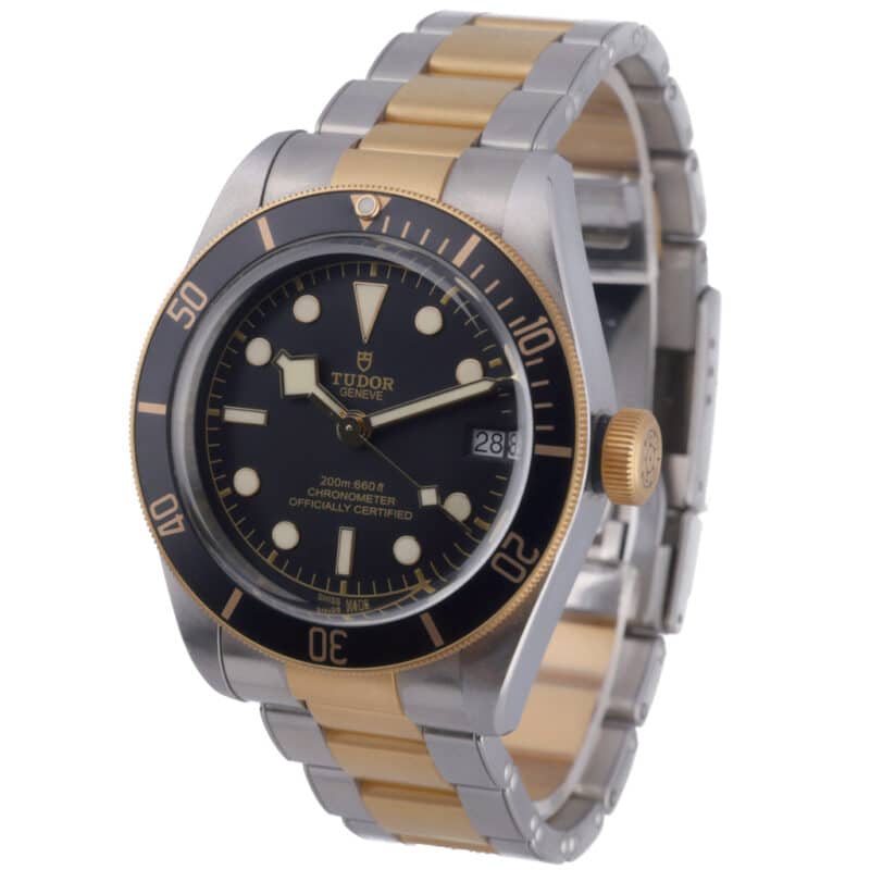 Tudor Black Bay 79733N