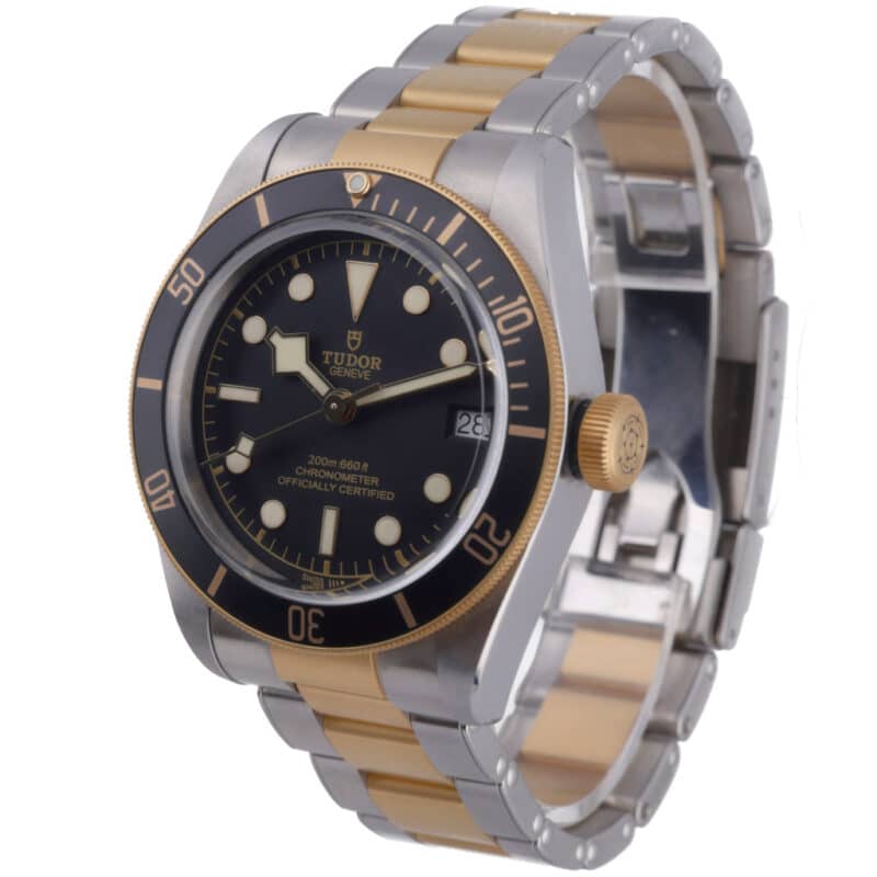 Tudor Black Bay 79733N
