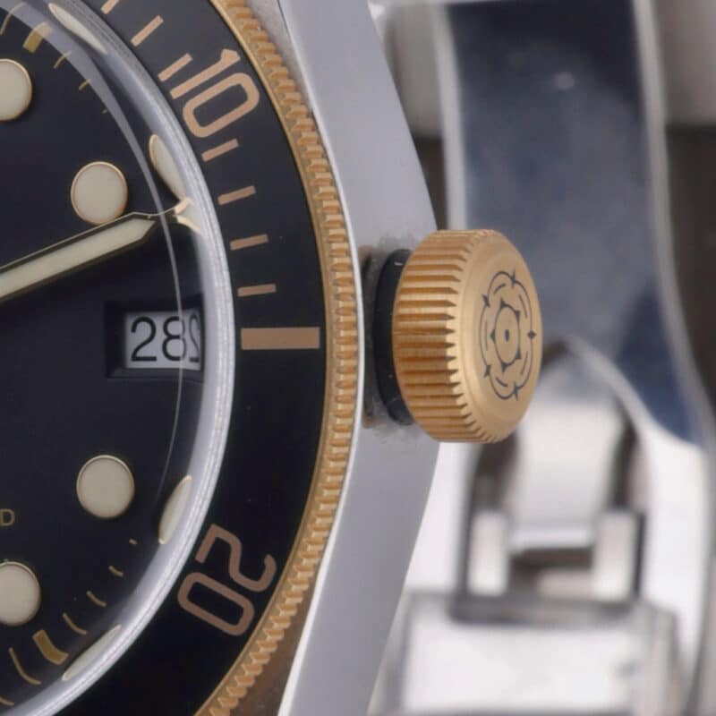 Tudor Black Bay 79733N
