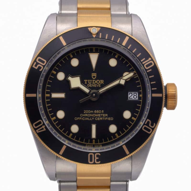 Tudor Black Bay 79733N