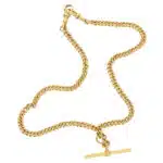 Vintage Albert Chain