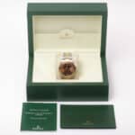 Rolex GMT Master II 16713