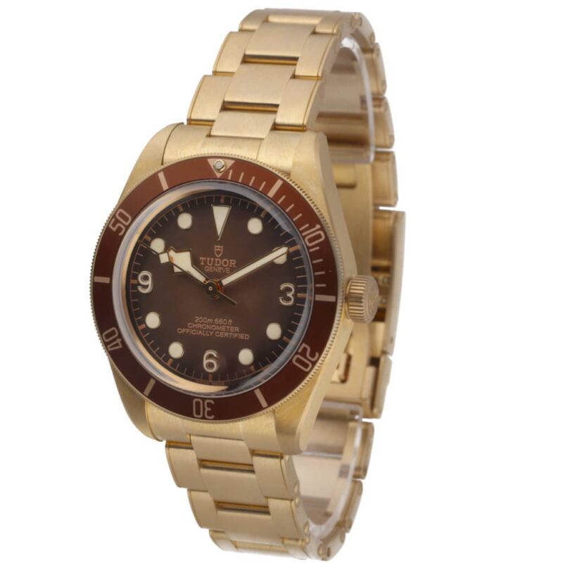 Tudor Black Bay Bronze 79012M
