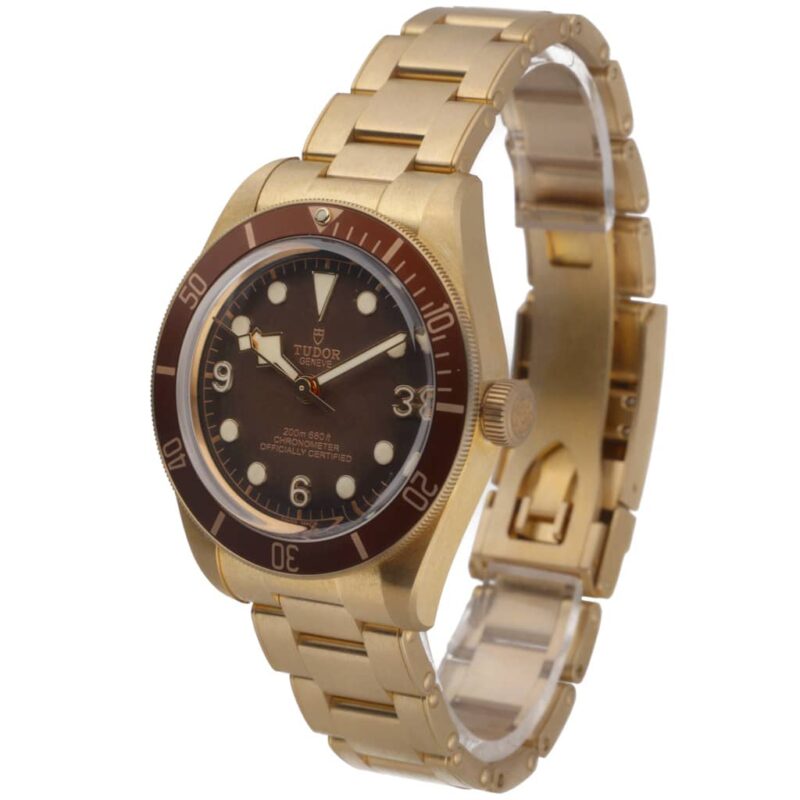 Tudor Black Bay Bronze 79012M