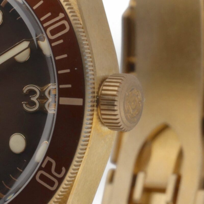 Tudor Black Bay Bronze 79012M