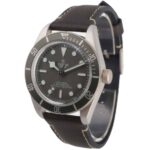Tudor Black Bay 58 79010SG