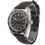 Tudor Black Bay 58 79010SG