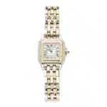 Vintage Cartier Panthere 22mm Gold and Steel Watch