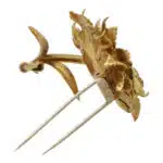 Vintage Hermès Paris Flower Brooch