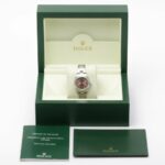 Rolex Oyster Perpetual 176200