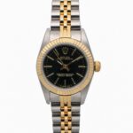 Rolex Oyster Perpetual 76193