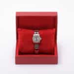 Rolex Oyster Perpetual 176210
