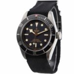 Tudor Black Bay 79230N