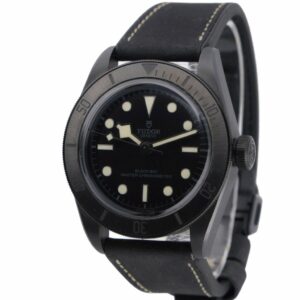 Tudor Black Bay 79210CNU