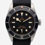 Tudor Black Bay 79230N