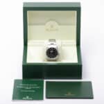 Rolex Explorer 114270