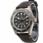 Tudor Black Bay Fifty-eight 79010SG