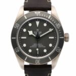 Tudor Black Bay Fifty-eight 79010SG