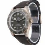 Tudor Black Bay Fifty-eight 79010SG