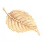 Vintage Leaf Brooch in Yellow Gold