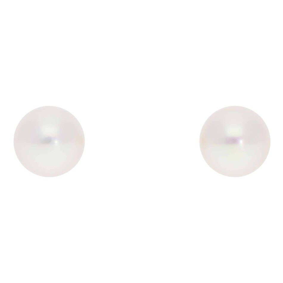 Contemporary 8mm Akoya Pearl Stud Earrings in Yellow Gold