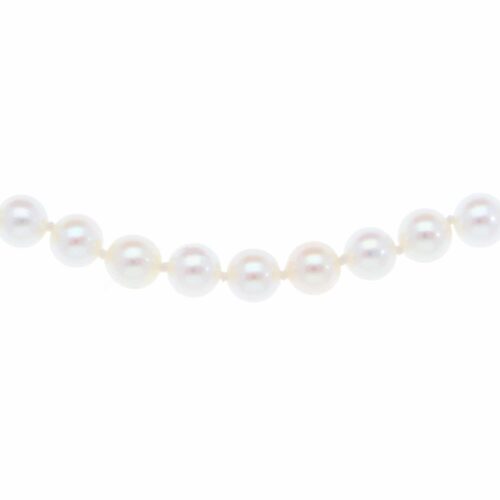 Akoya Pearl Strand Necklace with White Gold Clasp